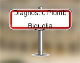 Diagnostic Plomb avant démolition sur Biguglia